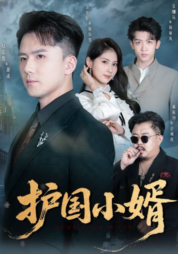 护国小婿