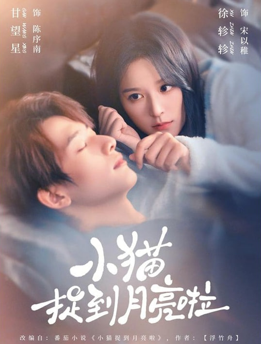小猫捉到月亮啦