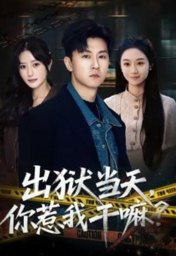 出狱当天，你惹我干嘛？（出狱当天你惹我干嘛）