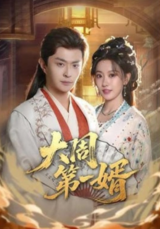 大周第一婿