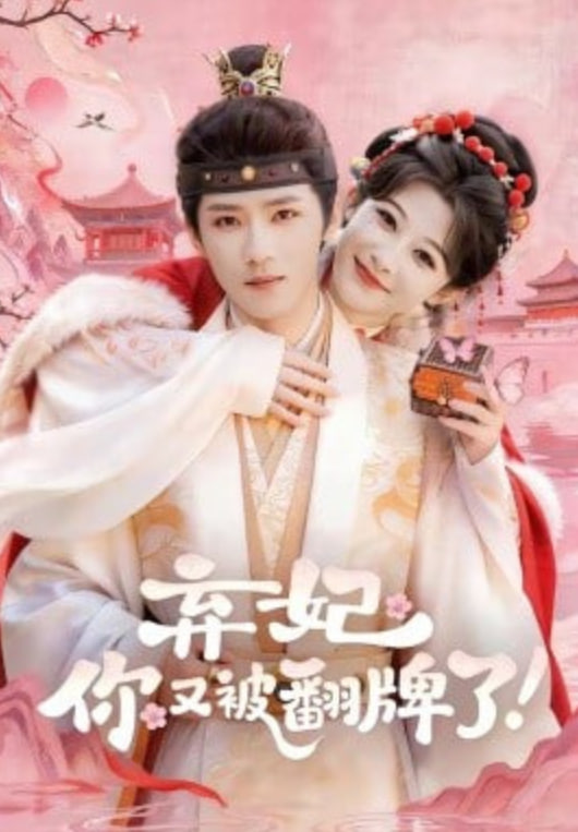 弃妃，你又被翻牌了