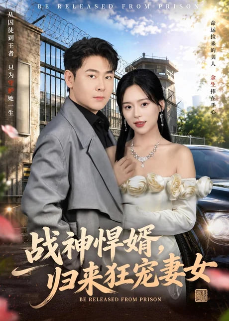 战神悍婿，归来狂宠妻女