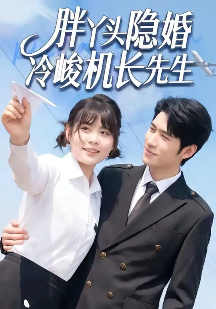 胖丫头隐婚冷峻机长先生