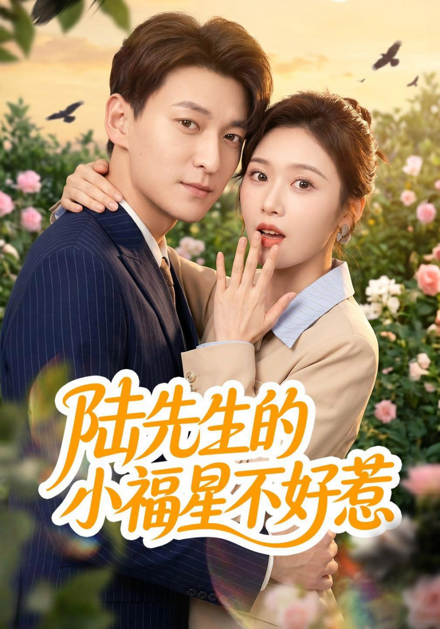 陆先生的小福星不好惹