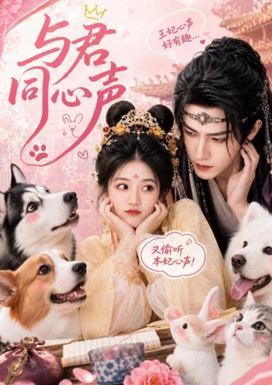 与君同心声